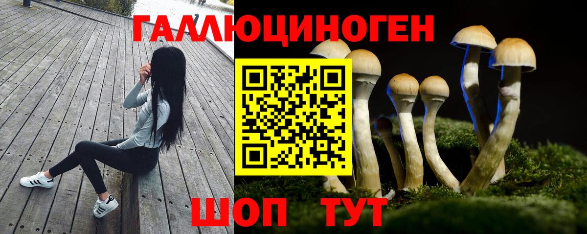 Псилоцибиновые грибы MAGIC MUSHROOMS  Галлюциногенные грибы Cubensis  Вход с VPN  Баксан 